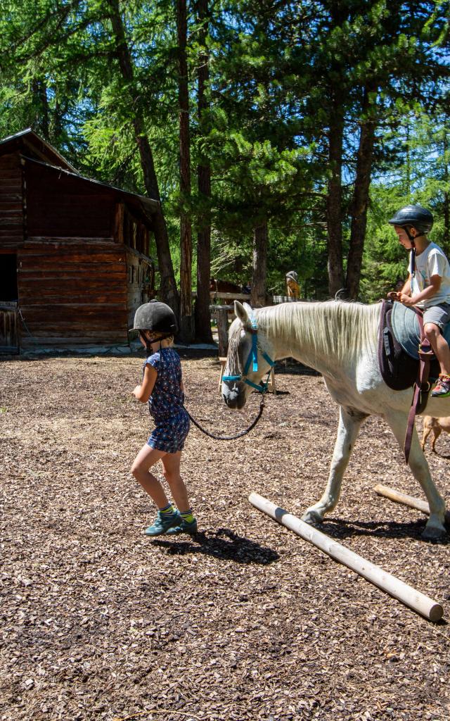 Poney dans le paddock du Ranch le Caribou