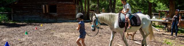 Poney dans le paddock du Ranch le Caribou