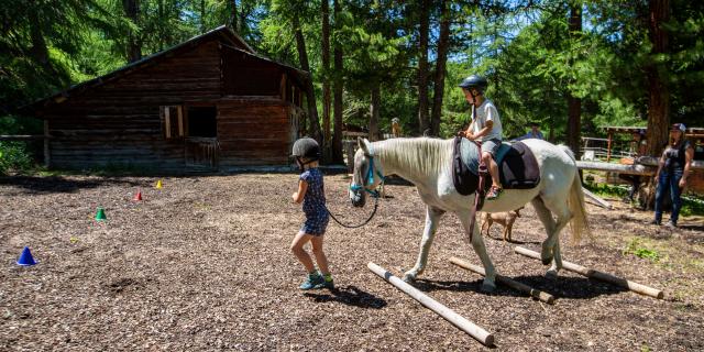 Poney dans le paddock du Ranch le Caribou