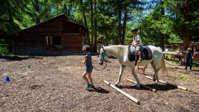 Poney dans le paddock du Ranch le Caribou