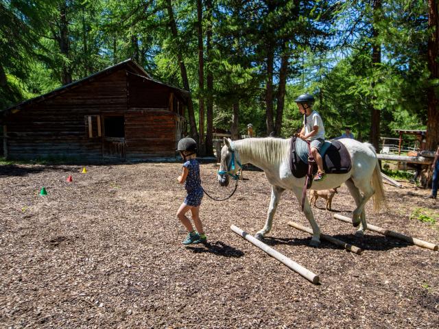 Poney dans le paddock du Ranch le Caribou