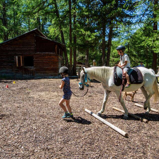 Poney dans le paddock du Ranch le Caribou