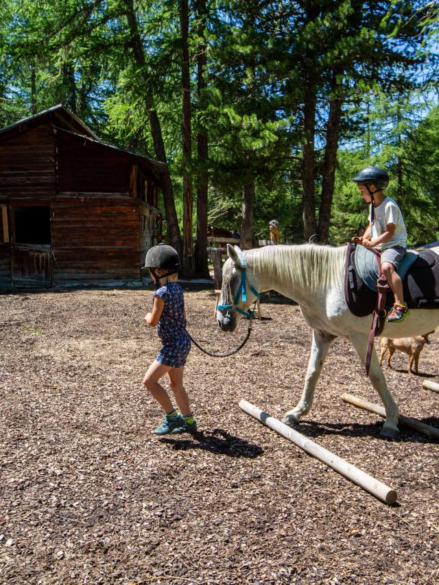 Poney dans le paddock du Ranch le Caribou