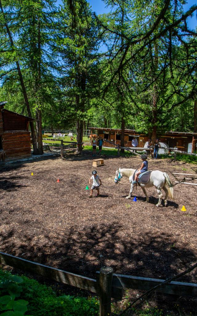 Poney dans le paddock du Ranch le Caribou