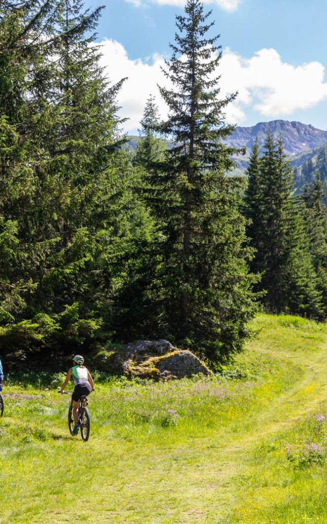 VTT et E-bike dans la Région de Thyon