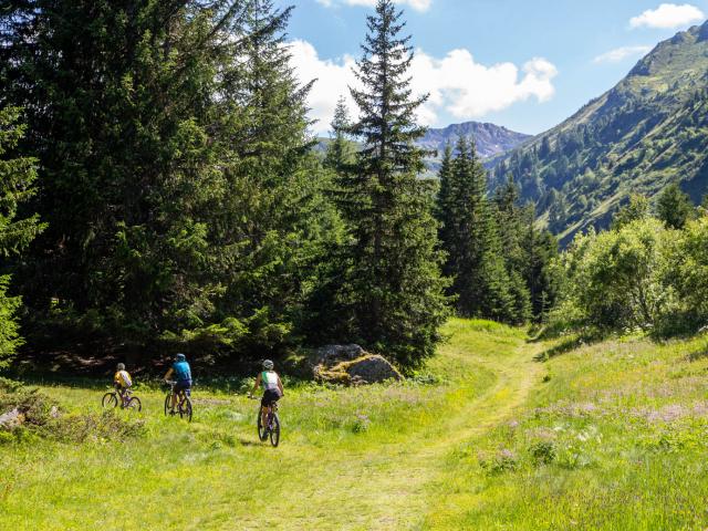 VTT et E-bike dans la Région de Thyon