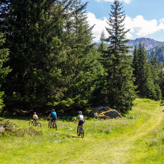 VTT et E-bike dans la Région de Thyon