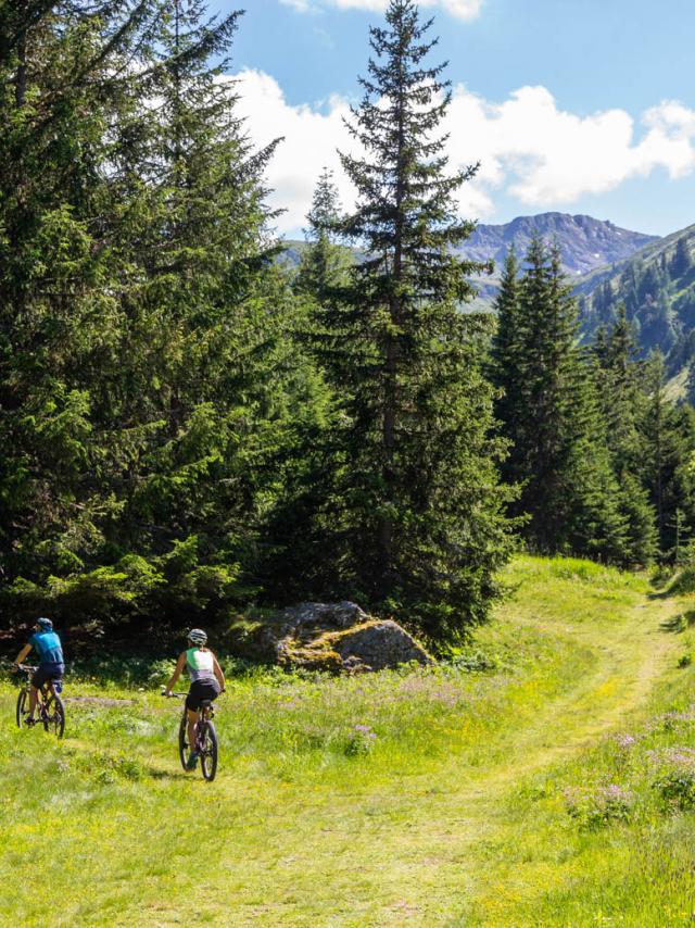 VTT et E-bike dans la Région de Thyon