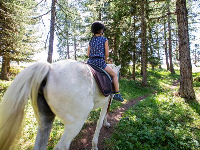 Balade à cheval dans la région de Thyon - Ranch le Caribou