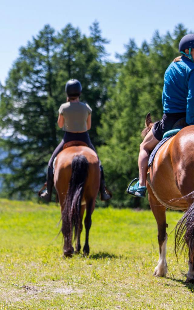 Balade à cheval dans la région de Thyon - Ranch le Caribou