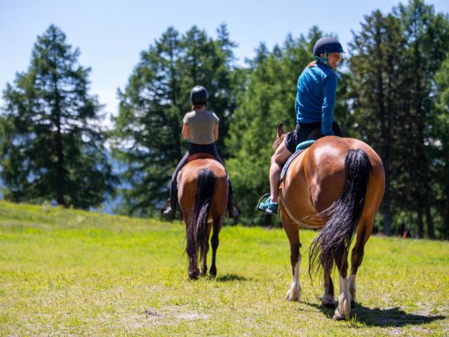 Balade à cheval dans la région de Thyon - Ranch le Caribou