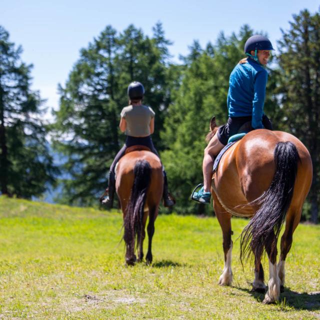 Balade à cheval dans la région de Thyon - Ranch le Caribou