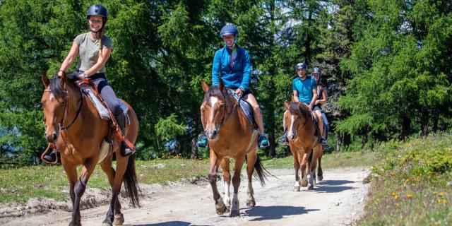 Balade à cheval dans la région de Thyon - Ranch le Caribou