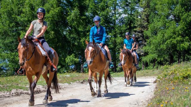 Balade à cheval dans la région de Thyon - Ranch le Caribou