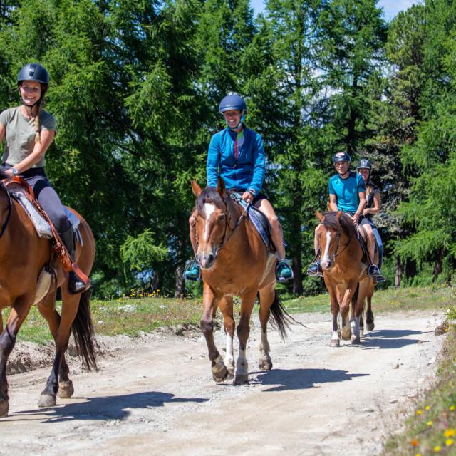 Balade à cheval dans la région de Thyon - Ranch le Caribou