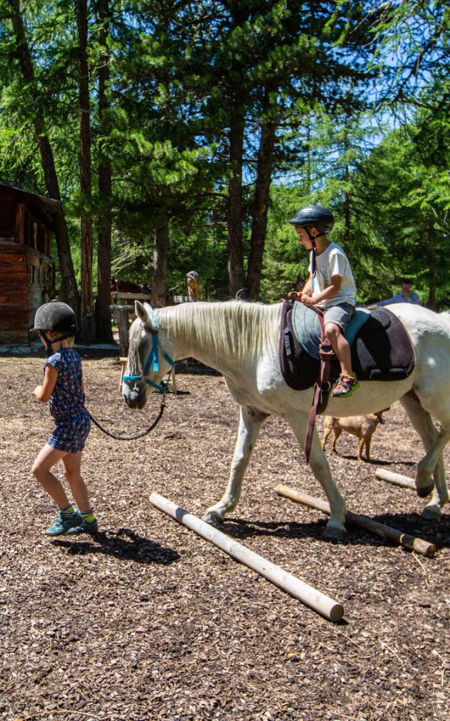 Poney dans le paddock du Ranch le Caribou