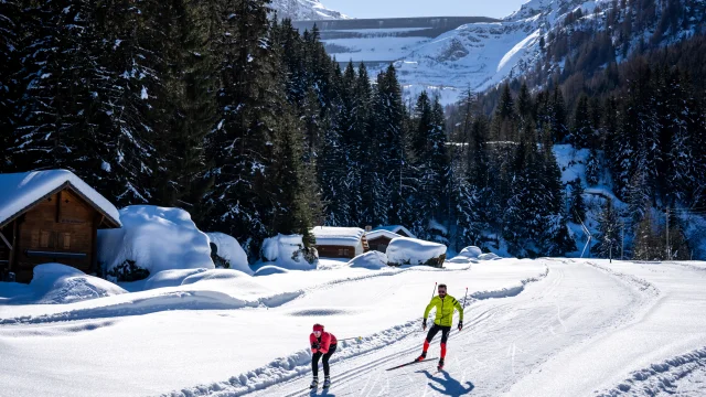 Ski de fond